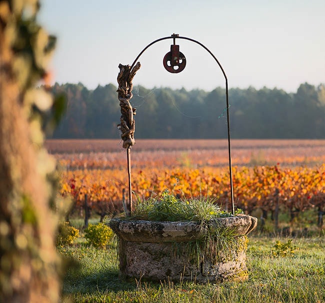 Château Lafargue's environmental approach